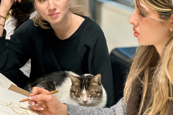 Güzel Sanatlar Lisesi Hazırlık Kursu