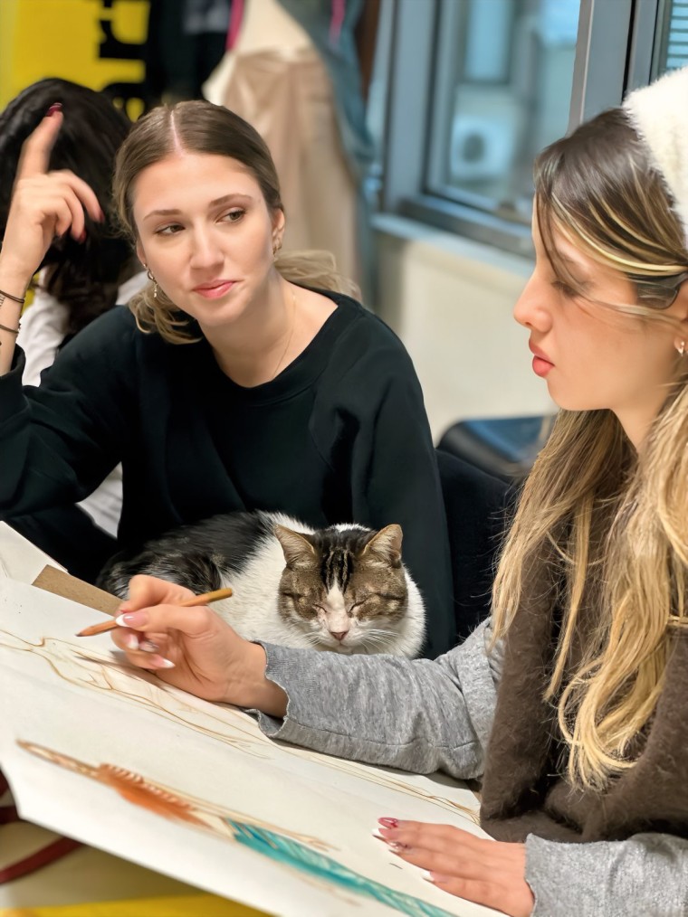 Güzel Sanatlar Lisesi Hazırlık Kursu